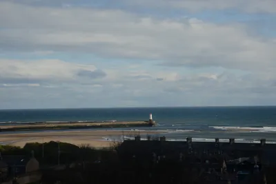 DSC_7234 (Large).JPG